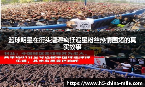 米乐m6