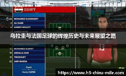 米乐官网